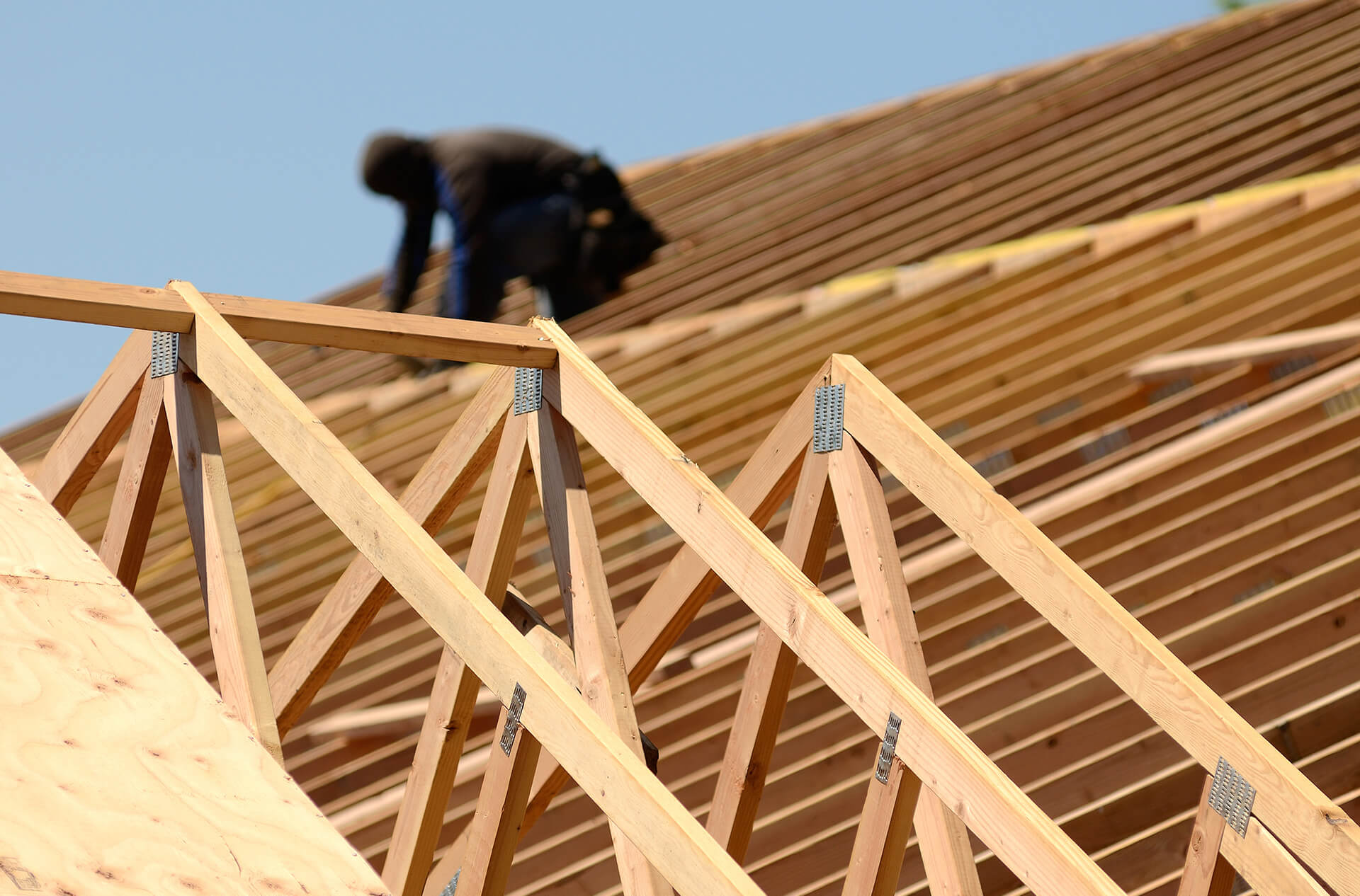 roof wood